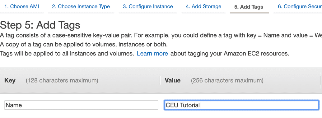 AWS-EC2-TagInstance